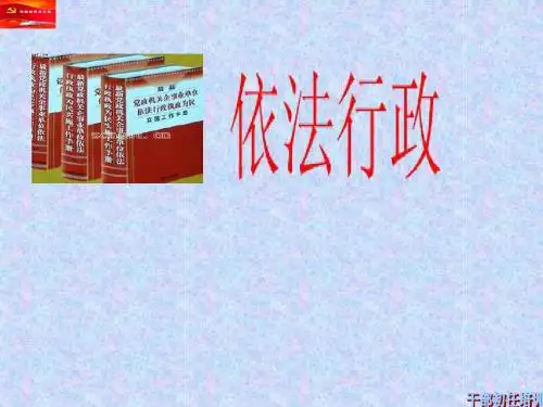 依法行政
