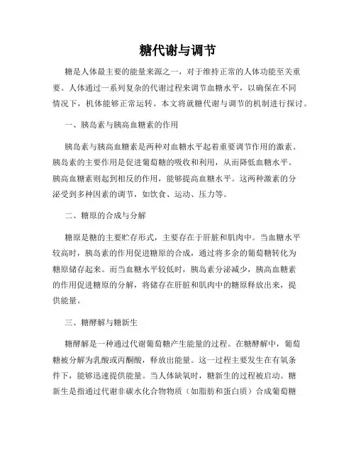 糖代谢与调节