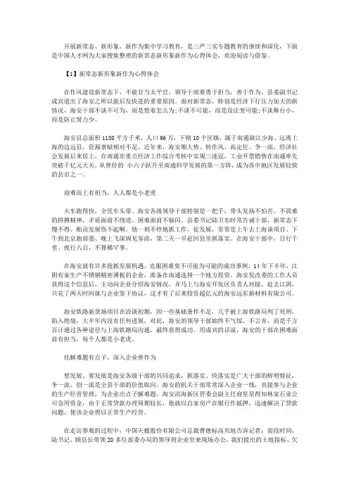 新常态新形象新作为心得体会【最新】