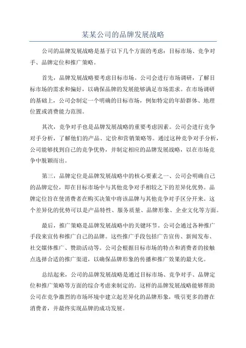某某公司的品牌发展战略