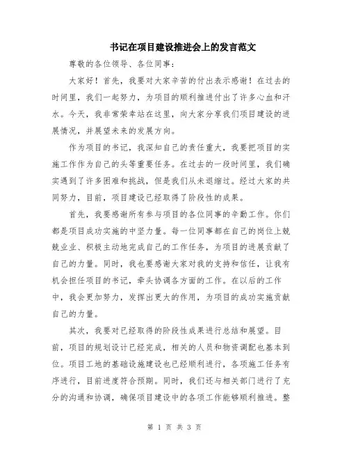 书记在项目建设推进会上的发言范文