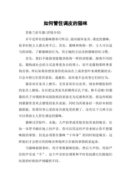 如何管住调皮的猫咪