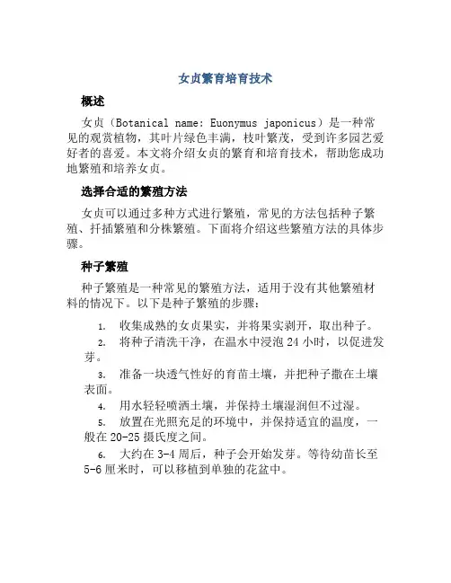 女贞繁育培育技术
