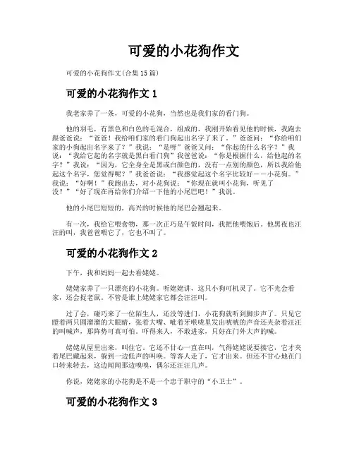 可爱的小花狗作文