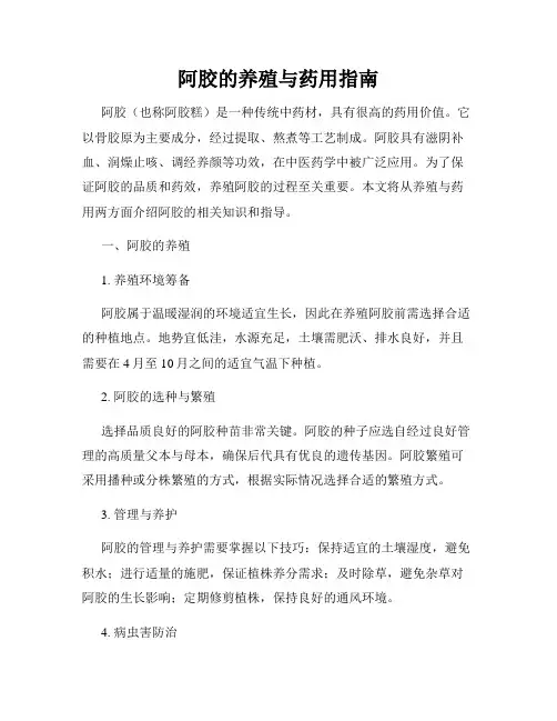 阿胶的养殖与药用指南