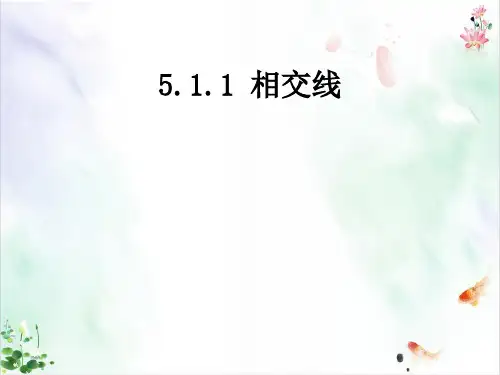 人教版《相交线》PPT精品系列
