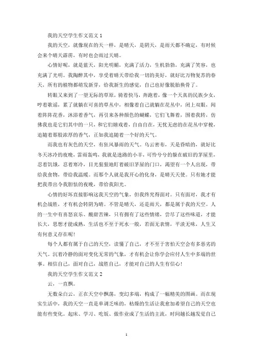 我的天空学生作文范文