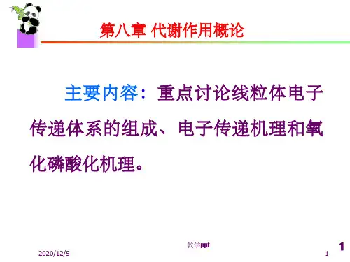 生物化学课件-生物氧化