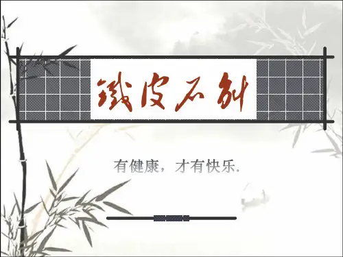 铁皮石斛的介绍 PPT
