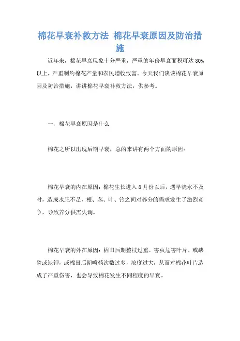 棉花早衰补救方法 棉花早衰原因及防治措施