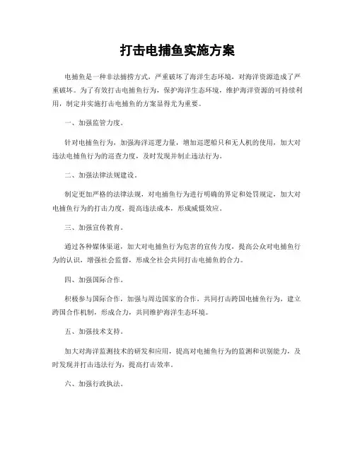 打击电捕鱼实施方案