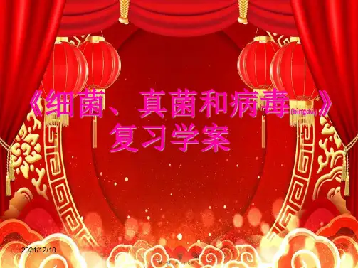 中考生物《细菌、真菌和病毒》复习课件
