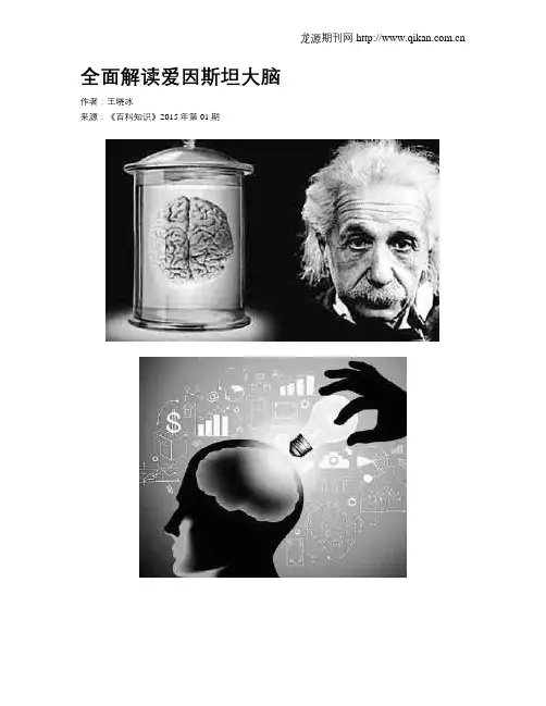 全面解读爱因斯坦大脑