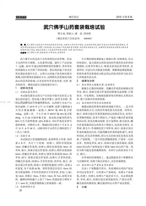 武穴佛手山药套袋栽培试验