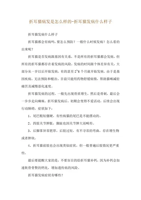 折耳猫病发是怎么样的-折耳猫发病什么样子