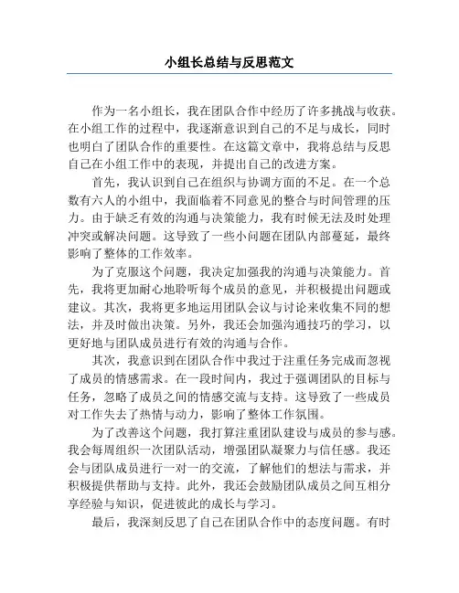 小组长总结与反思范文