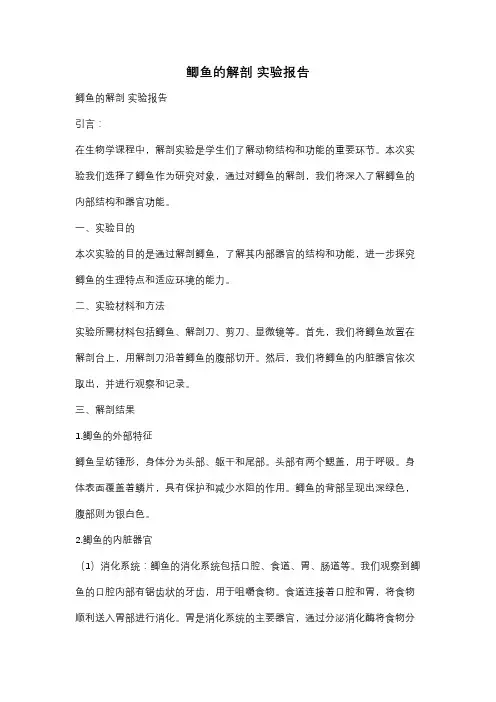 鲫鱼的解剖 实验报告