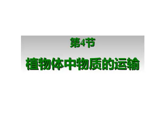 植物体中物质的运输新
