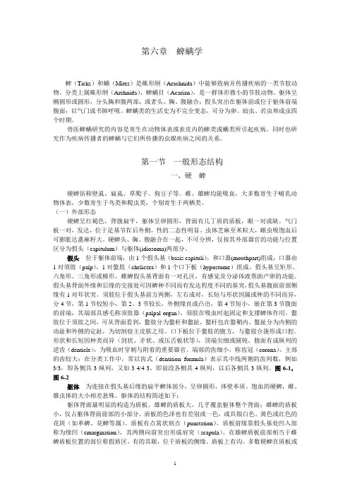 蜱螨学