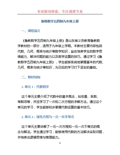 鲁教数学五四制九年级上册