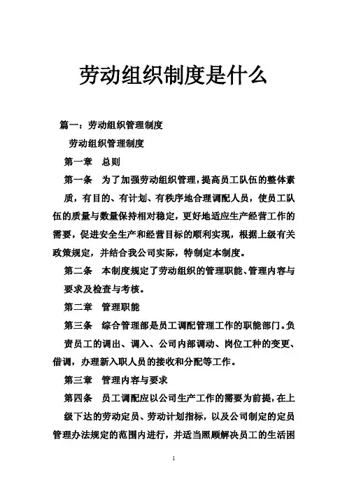 劳动组织制度是什么
