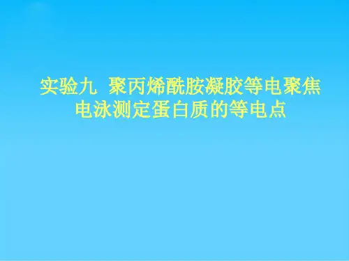 聚丙烯酰胺凝胶等电聚焦电泳测定蛋白质的等电点