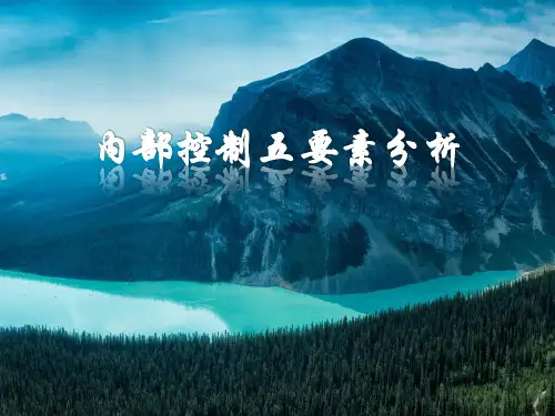 三鹿集团内部控制案例分析