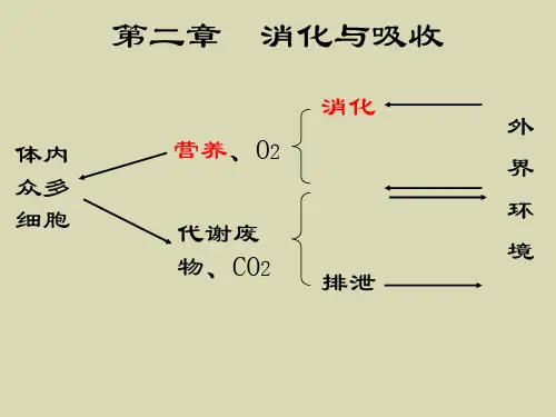 《动物生理学》  第二章消化与吸收PPT课件