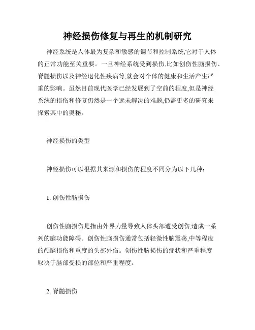 神经损伤修复与再生的机制研究