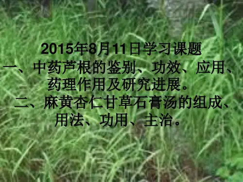 芦根与麻黄杏仁甘草石膏汤