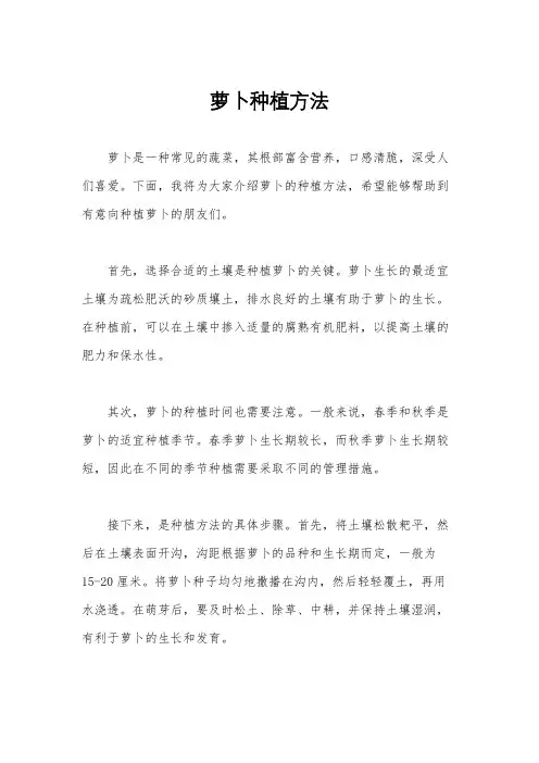 萝卜种植方法
