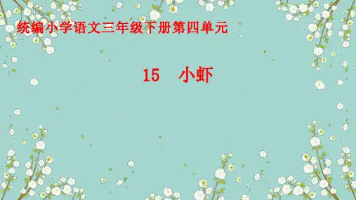 15.《小虾》课件(共22张PPT)