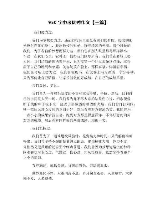 950字中考优秀作文【三篇】