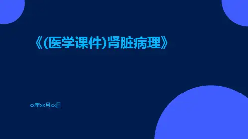 (医学课件)肾脏病理