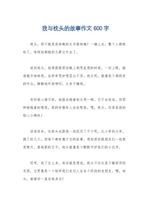 我与枕头的故事作文600字