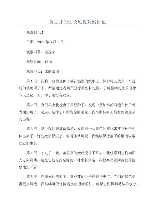 黄豆芽的生长过程观察日记