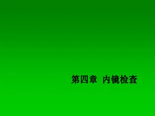 内镜检查PPT课件