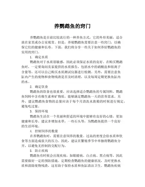 养鹦鹉鱼的窍门