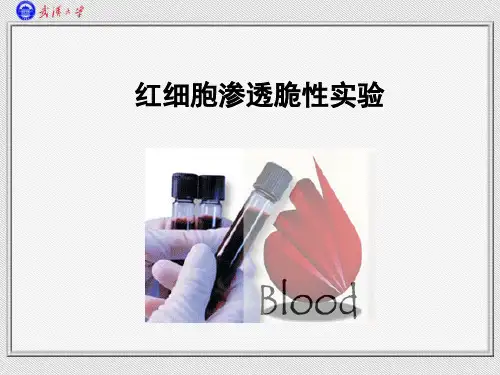 渗透脆性和血液凝固ok