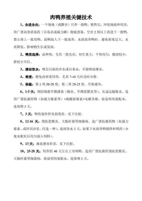 肉鸭养殖关键技术
