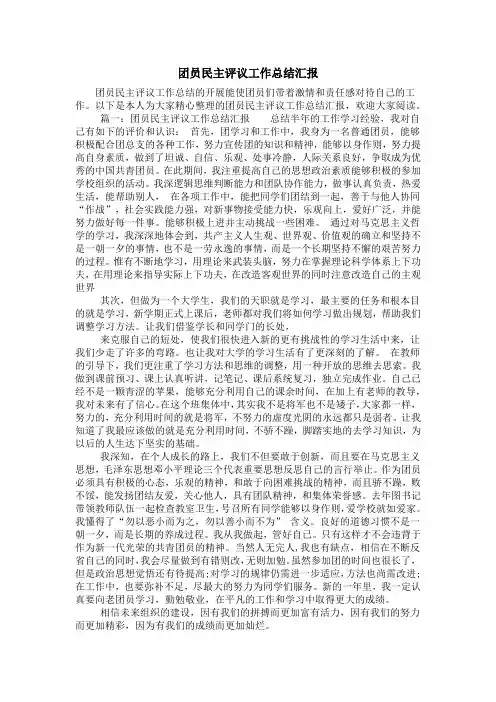 团员民主评议工作总结汇报