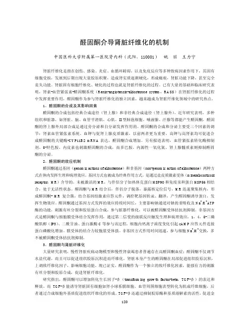 醛固酮介导肾脏纤维化的机制-爱肾医疗