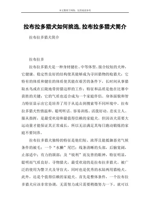 拉布拉多猎犬如何挑选,拉布拉多猎犬简介_2
