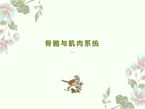 骨关节的影像诊断