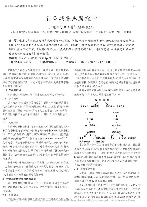 针灸减肥思路 超给力
