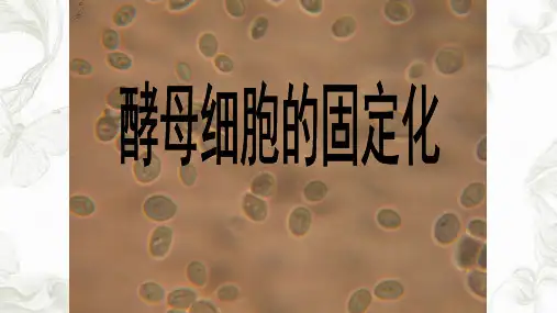 (人教版) 酵母细胞的固定化ppt课件