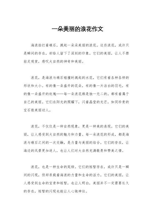 一朵美丽的浪花作文