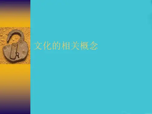 文化的相关概念