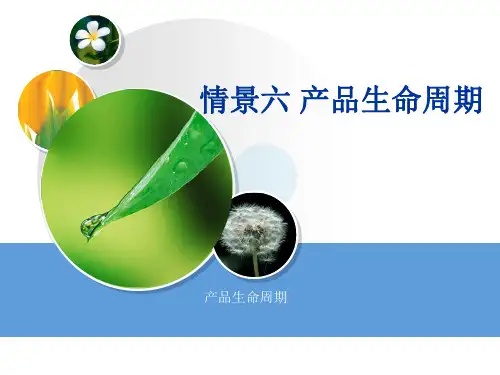 市场营销产品生命周期ppt课件
