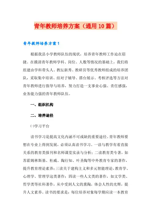 青年教师培养方案(通用10篇)